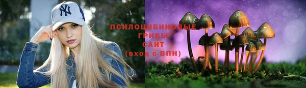 мескалин Михайлов
