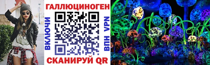 Галлюциногенные грибы Psilocybine cubensis  Котово 